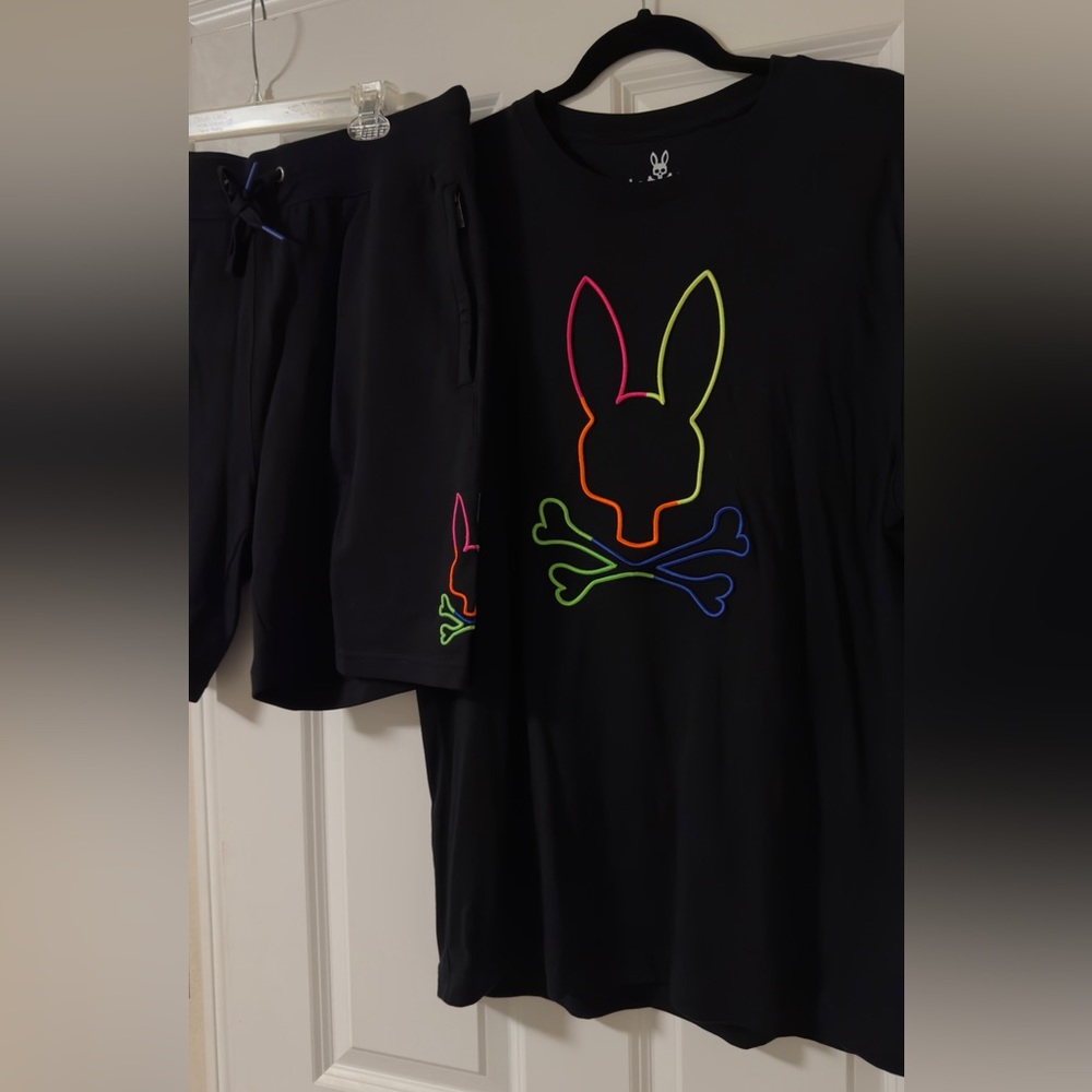 LIKE NEW Psycho Bunny men’s t-shirt and shorts set L